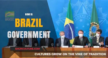 Understanding Brazil's Government: Structure, Politics, and Current Challenges