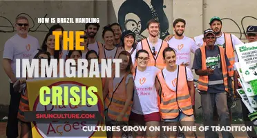 Brazil's Response to the Immigrant Crisis: Challenges and Strategies