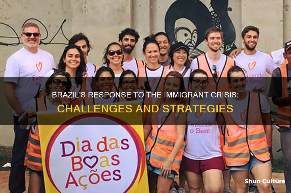 how is brazil handling the immigrant crisis