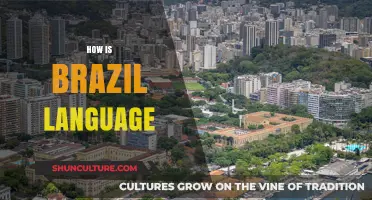 Exploring Brazil's Language: Portuguese, Dialects, and Cultural Influences