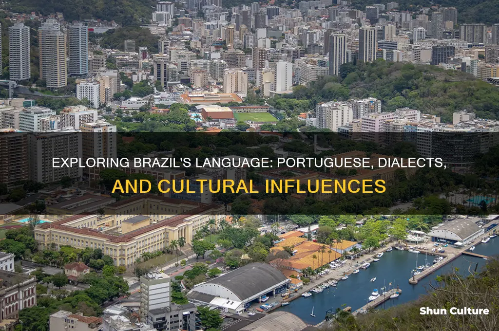 how is brazil language