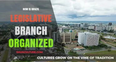 Understanding Brazil's Legislative Branch: Structure, Functions, and Organization