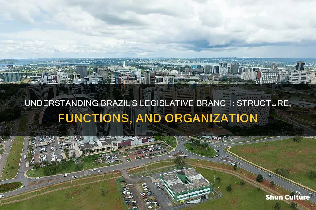 how is brazil legislative branch organized