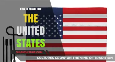 Brazil and the U.S.: Cultural, Economic, and Political Parallels Explored