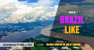 Exploring Brazil's Culture, Nature, and Vibrant Lifestyle: A Comprehensive Guide