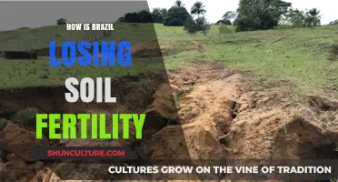 Brazil's Soil Crisis: Causes of Declining Fertility and Solutions