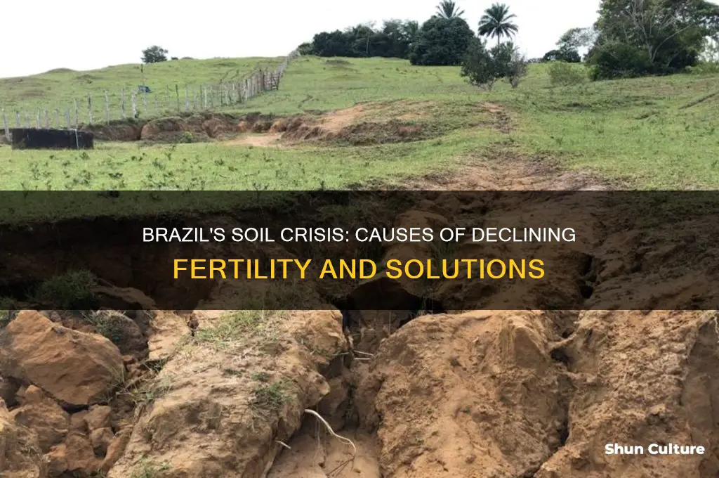 how is brazil losing soil fertility