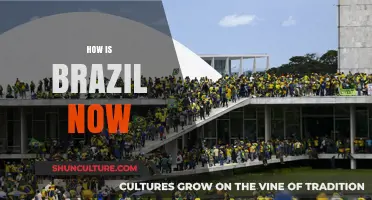 Brazil Today: Economy, Politics, Culture, and Social Changes in 2023