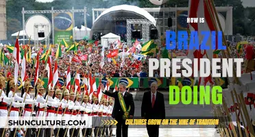 Brazil's President: Performance, Policies, and Public Perception Analyzed