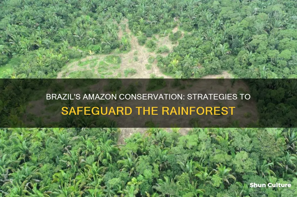 how is brazil protecting the amazon