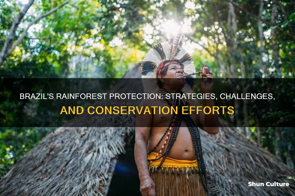 how is brazil protecting the rainforest