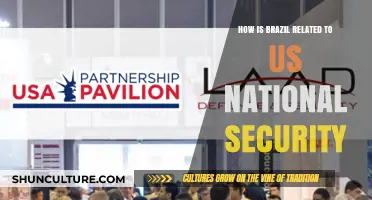 Brazil's Strategic Role in US National Security Interests