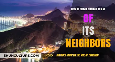 Brazil's Cultural and Geographic Ties to Neighboring South American Nations