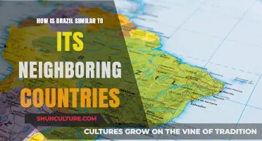 Brazil's Cultural and Geographic Ties with Neighboring Latin American Nations
