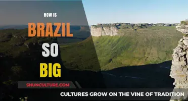 Brazil's Vastness: Exploring the Factors Behind Its Enormous Size
