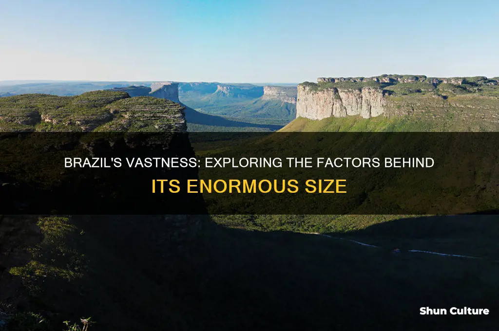 how is brazil so big