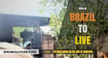Exploring Life in Brazil: Culture, Cost, and Daily Experiences