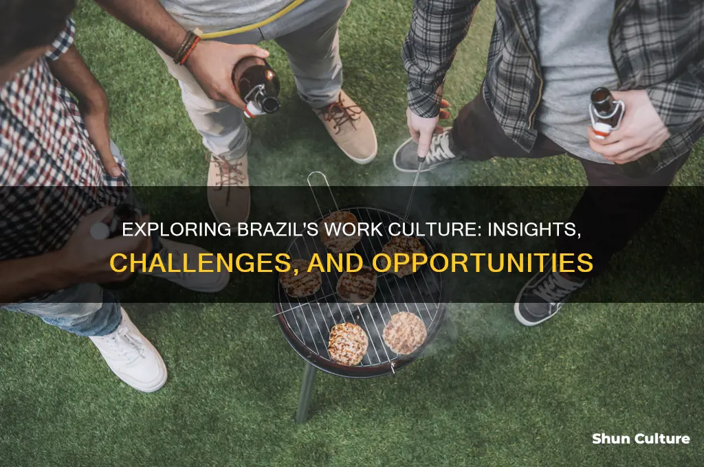 how is brazil to work