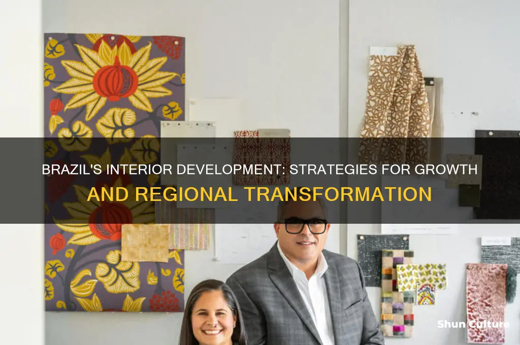 how is brazil trying to develop their interior region
