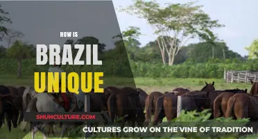 Brazil's Unique Culture, Nature, and Vibrancy: A Global Standout