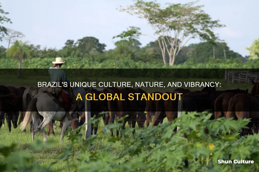 how is brazil unique