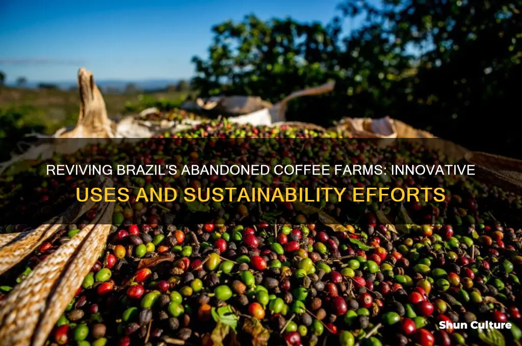 how is brazil using abandoned coffee farms