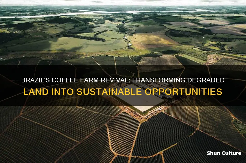 how is brazil using degraded land from coffee farms