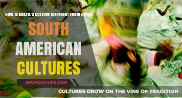 Brazil's Unique Cultural Identity: Contrasting Traditions in South America