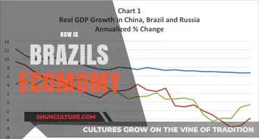 Brazil's Economy: Growth, Challenges, and Future Prospects Explained