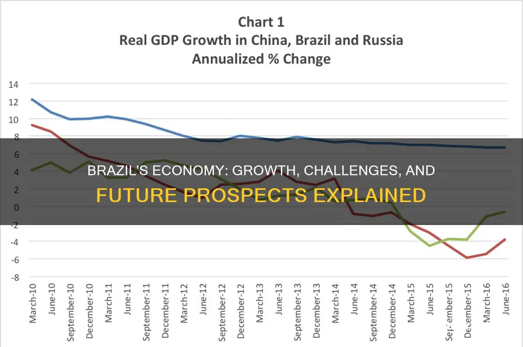 how is brazils ecomomy