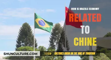 Brazil-China Economic Ties: Trade, Investment, and Global Impact Explained
