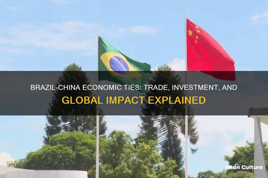 how is brazils economy related to chine