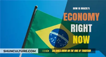 Brazil's Economic Pulse: Current Trends, Challenges, and Growth Prospects