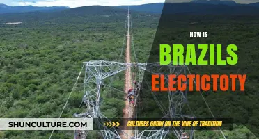 Brazil's Electricity Sector: Innovations, Challenges, and Sustainable Energy Future