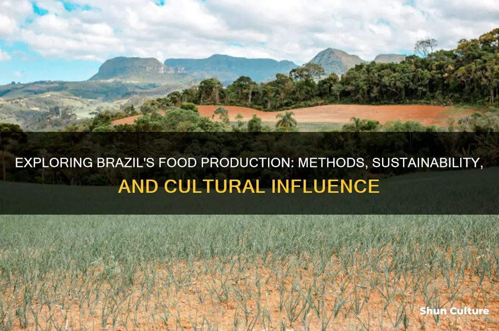 how is brazils food produced