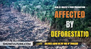 Deforestation's Impact: How Brazil's Food Production Faces Growing Challenges