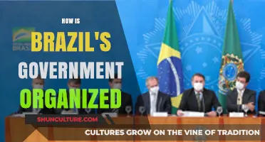 Understanding Brazil's Government Structure: Organization, Powers, and Functions