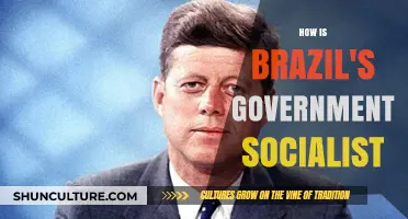 Is Brazil Socialist? Analyzing Its Government Policies and Economic Model