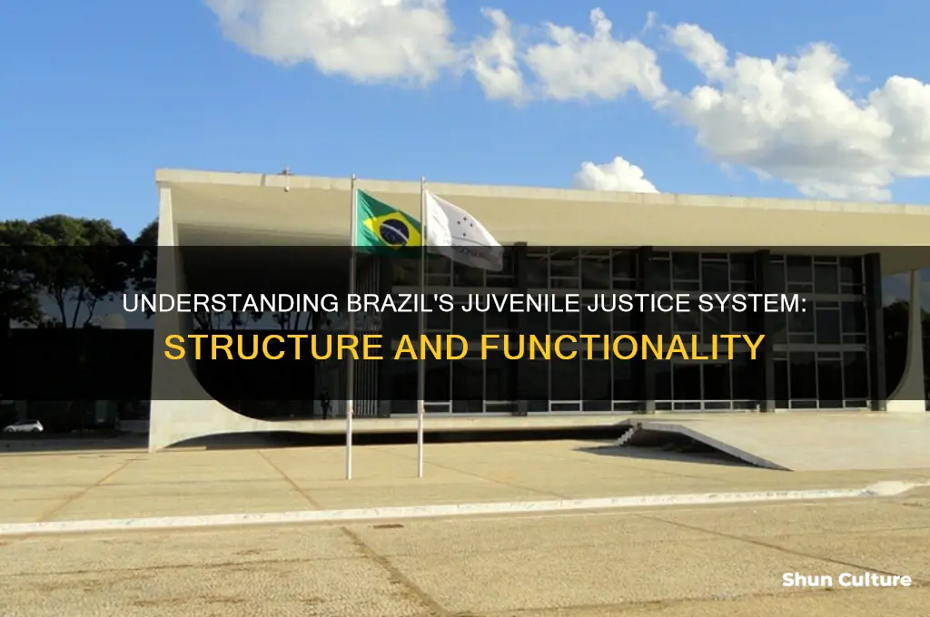 how is brazils juvenile courts set up