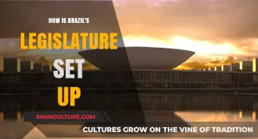 Understanding Brazil's Legislature: Structure, Functions, and Political Dynamics