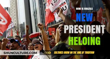 Brazil's New President: Initiatives and Impact on the Nation's Future