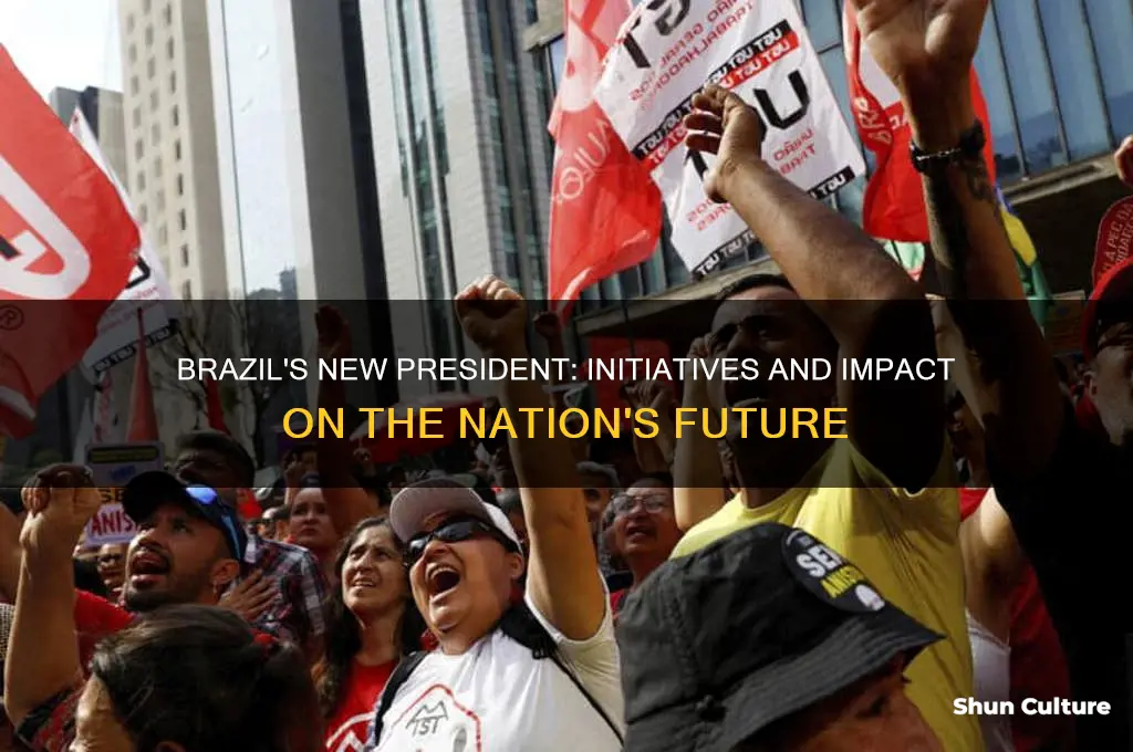 how is brazils new president heloing