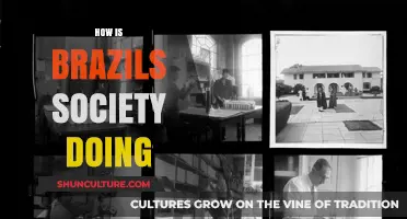Brazil's Social Landscape: Challenges, Progress, and Future Prospects