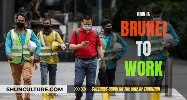 Working in Brunei: A Comprehensive Overview