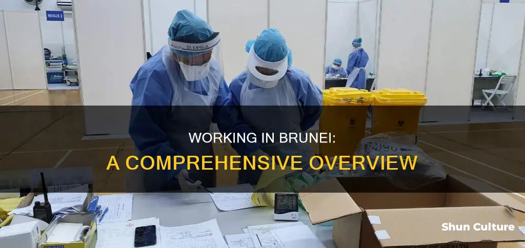 how is brunei to work