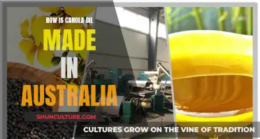 Canola Oil: Australia's Process and Production