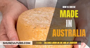 Cheese-making Process in Australia: An Overview