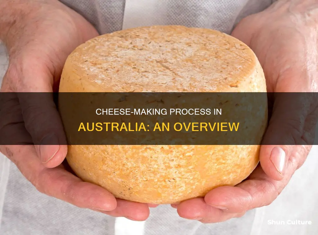 how is cheese made in australia