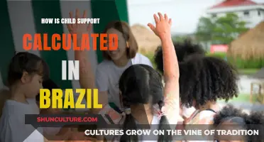 Understanding Child Support Calculations in Brazil: A Comprehensive Guide