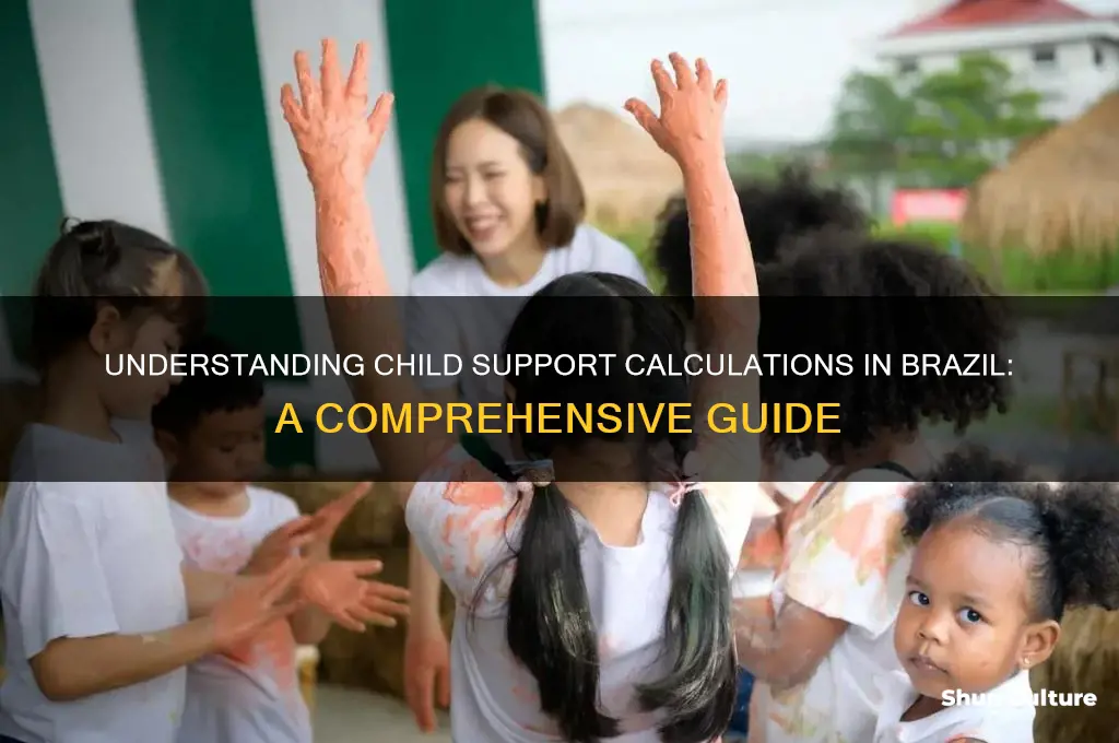 how is child support calculated in brazil